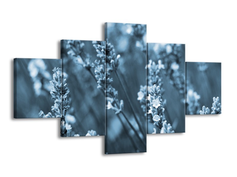 Glasschilderij Bloemen, Lente | Blauw, Grijs | 125x70cm 5Luik