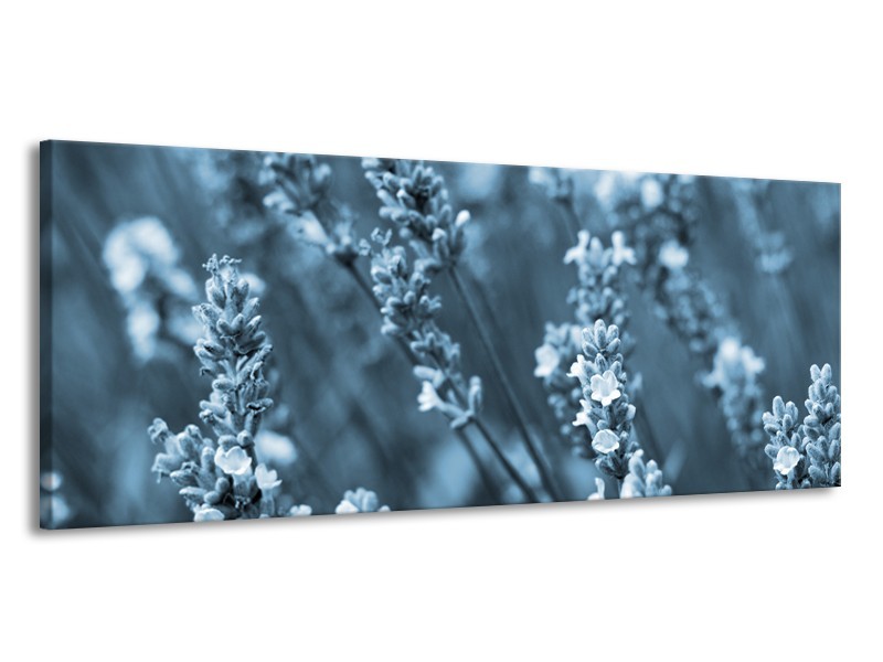 Glasschilderij Bloemen, Lente | Blauw, Grijs | 145x58cm 1Luik