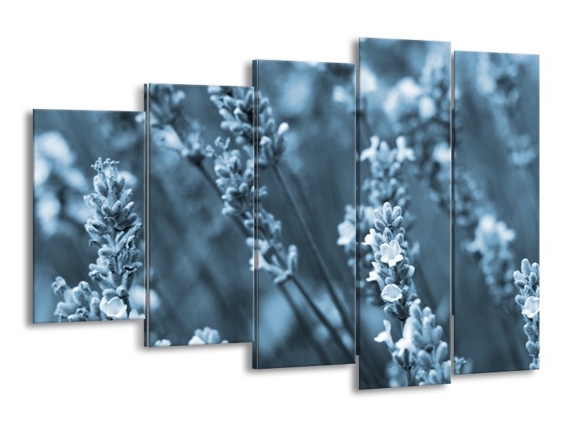 Glasschilderij Bloemen, Lente | Blauw, Grijs | 150x100cm 5Luik