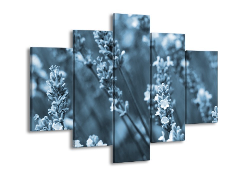 Glasschilderij Bloemen, Lente | Blauw, Grijs | 150x105cm 5Luik