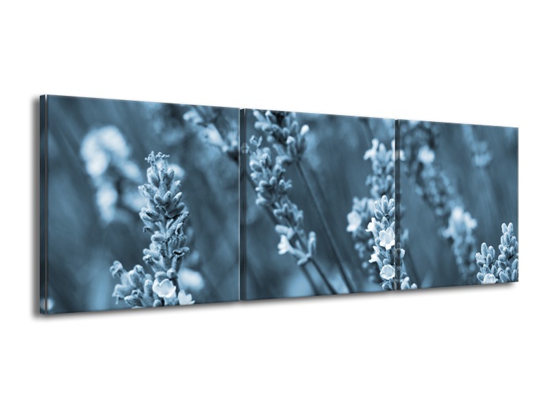 Canvas Schilderij Bloemen, Lente | Blauw, Grijs | 150x50cm 3Luik