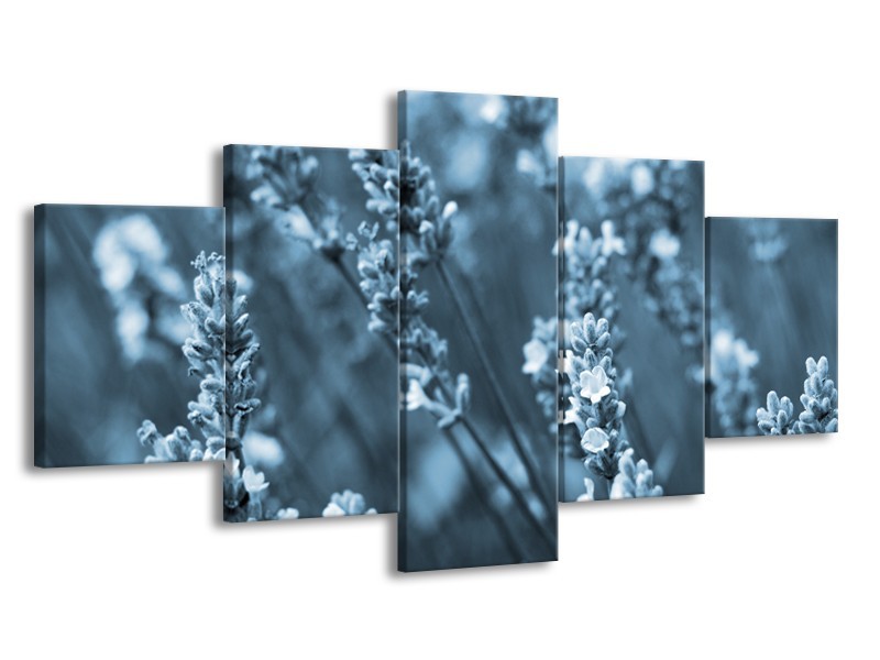 Glasschilderij Bloemen, Lente | Blauw, Grijs | 150x80cm 5Luik