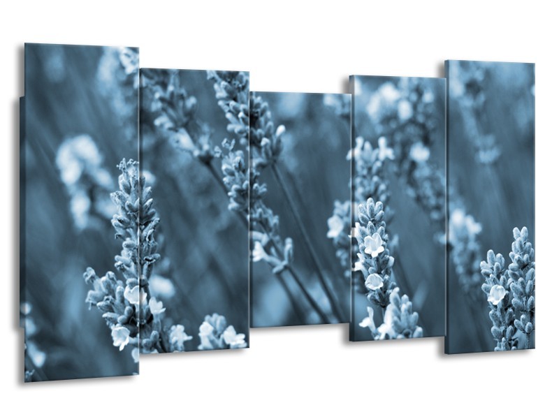 Canvas Schilderij Bloemen, Lente | Blauw, Grijs | 150x80cm 5Luik