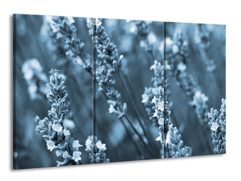 Glasschilderij Bloemen, Lente | Blauw, Grijs | 165x100cm 3Luik