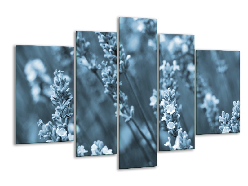 Glasschilderij Bloemen, Lente | Blauw, Grijs | 170x100cm 5Luik