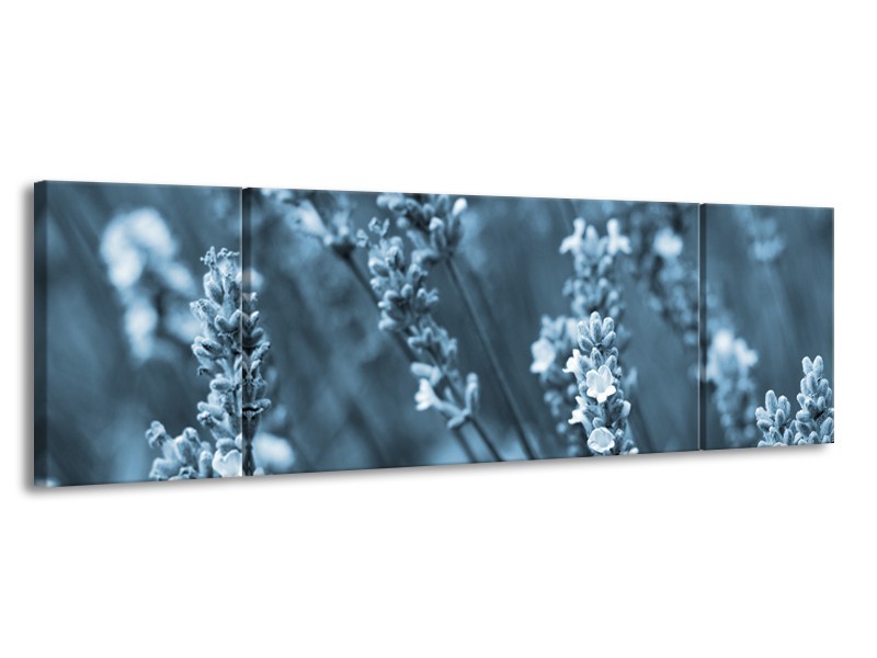 Glasschilderij Bloemen, Lente | Blauw, Grijs | 170x50cm 3Luik