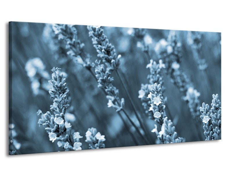 Canvas Schilderij Bloemen, Lente | Blauw, Grijs | 170x90cm 1Luik