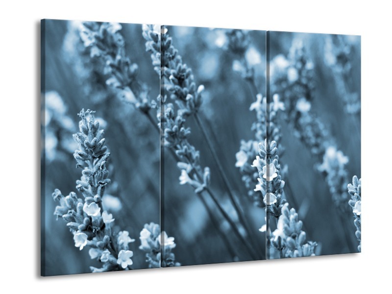 Glasschilderij Bloemen, Lente | Blauw, Grijs | 60x90cm 3Luik