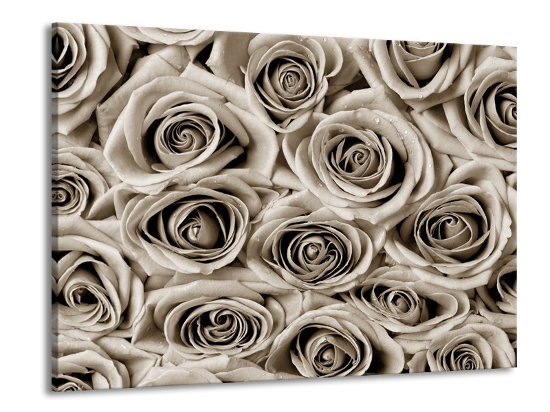 Canvas Schilderij Bloemen, Roos | Sepia | 100x70cm 1Luik