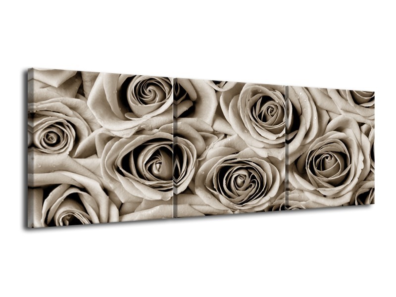 Glasschilderij Bloemen, Roos | sepia | 120x40cm 3Luik