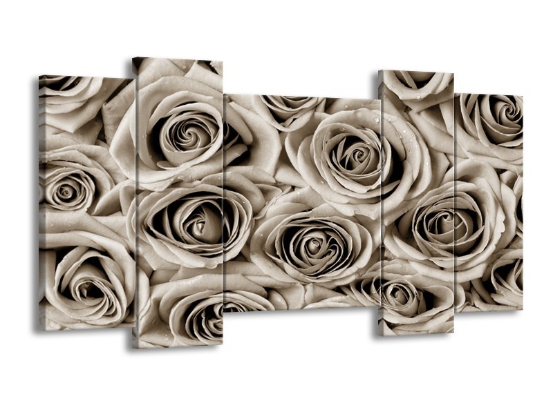 Canvas Schilderij Bloemen, Roos | Sepia | 120x65cm 5Luik