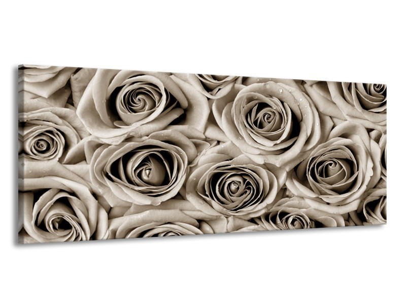 Canvas Schilderij Bloemen, Roos | Sepia | 145x58cm 1Luik