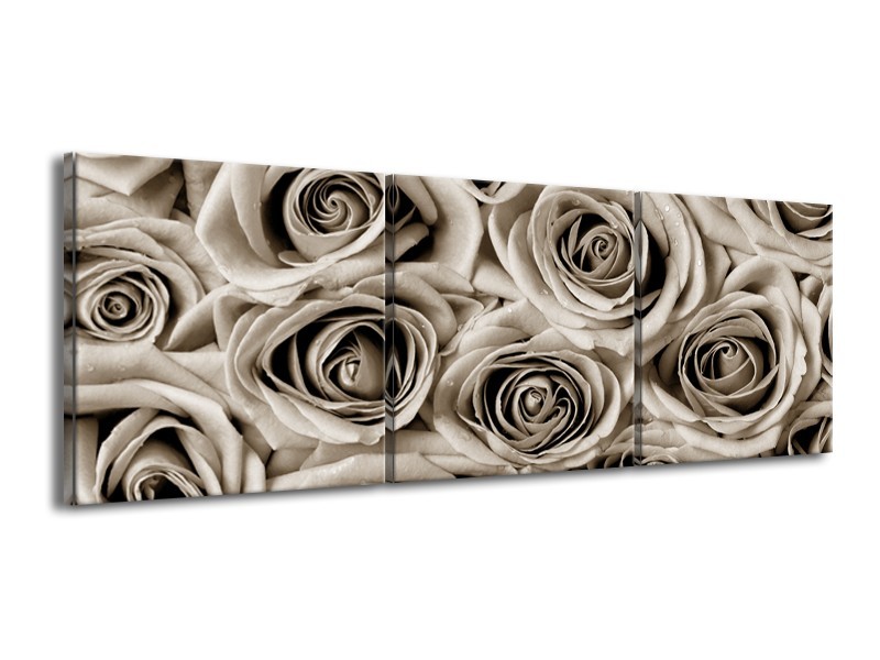 Glasschilderij Bloemen, Roos | sepia | 150x50cm 3Luik