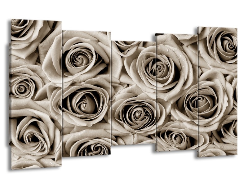 Glasschilderij Bloemen, Roos | sepia | 150x80cm 5Luik