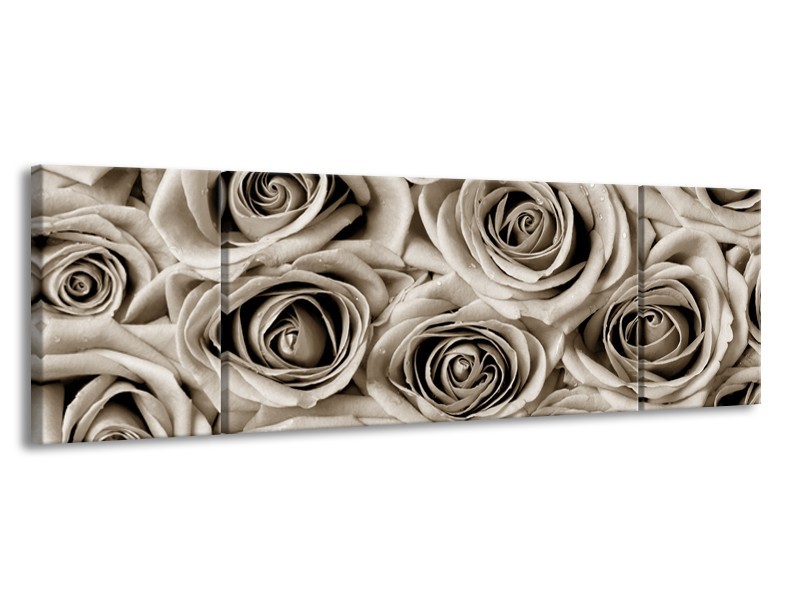 Glasschilderij Bloemen, Roos | sepia | 170x50cm 3Luik