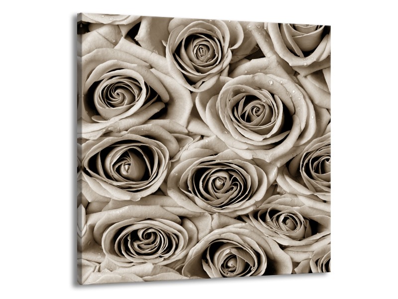 Canvas Schilderij Bloemen, Roos | Sepia | 50x50cm 1Luik