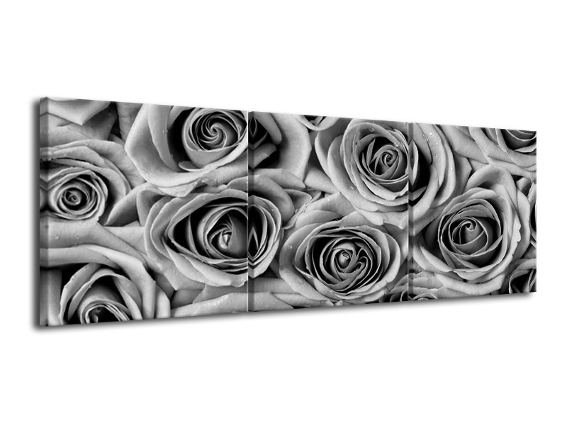 Canvas Schilderij Bloemen, Roos | Zwart, Grijs | 120x40cm 3Luik