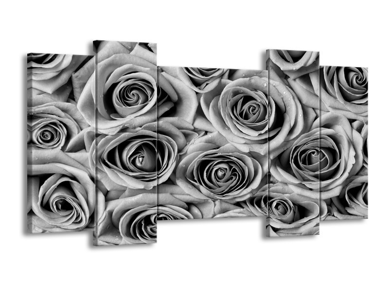 Glasschilderij Bloemen, Roos | Zwart, Grijs | 120x65cm 5Luik