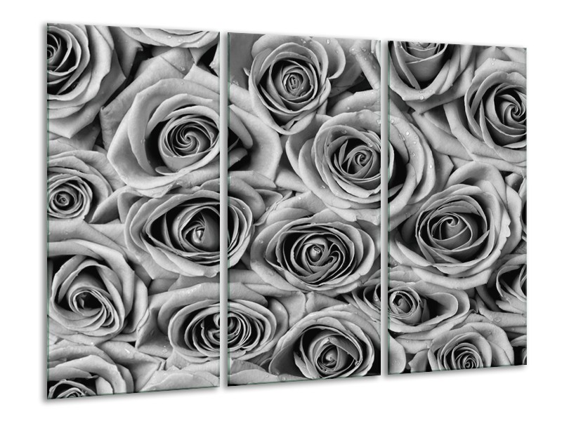 Glasschilderij Bloemen, Roos | Zwart, Grijs | 120x80cm 3Luik