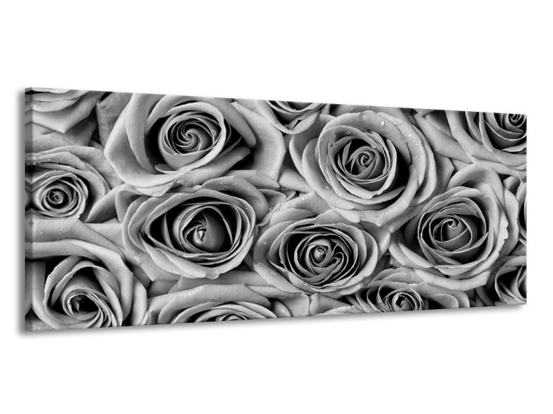 Glasschilderij Bloemen, Roos | Zwart, Grijs | 145x58cm 1Luik