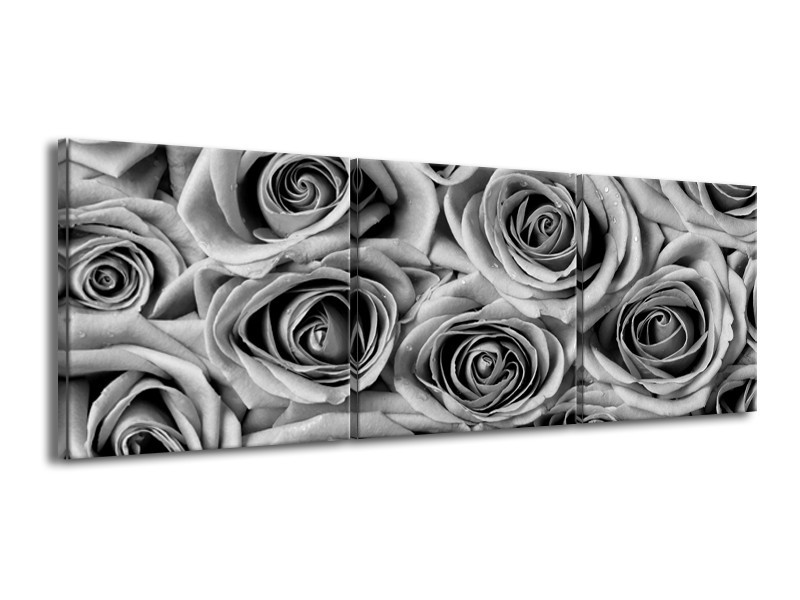Canvas Schilderij Bloemen, Roos | Zwart, Grijs | 150x50cm 3Luik