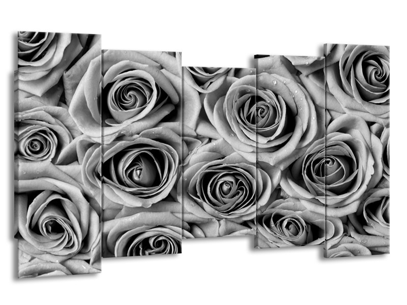 Glasschilderij Bloemen, Roos | Zwart, Grijs | 150x80cm 5Luik