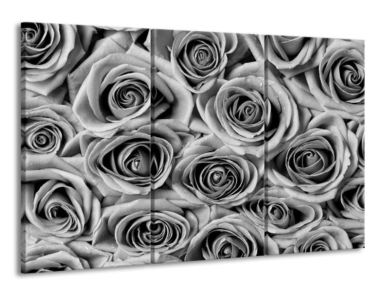 Canvas Schilderij Bloemen, Roos | Zwart, Grijs | 165x100cm 3Luik