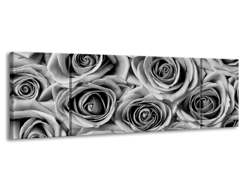 Glasschilderij Bloemen, Roos | Zwart, Grijs | 170x50cm 3Luik