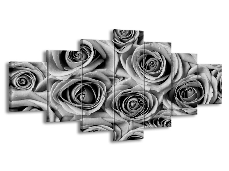Glasschilderij Bloemen, Roos | Zwart, Grijs | 210x100cm 7Luik