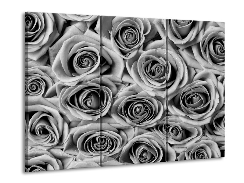 Glasschilderij Bloemen, Roos | Zwart, Grijs | 60x90cm 3Luik