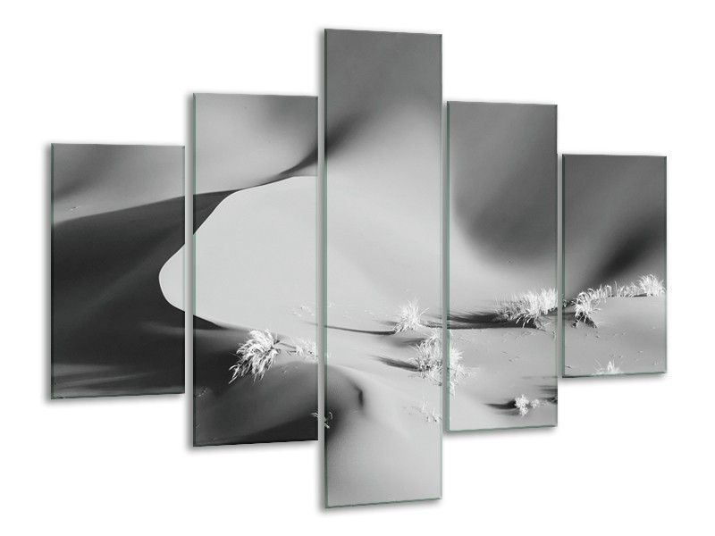 Glasschilderij Zand | Zwart, Grijs | 100x70cm 5Luik