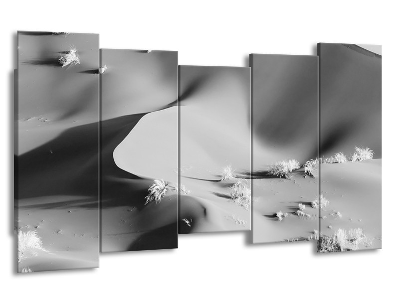 Glasschilderij Zand | Zwart, Grijs | 150x80cm 5Luik
