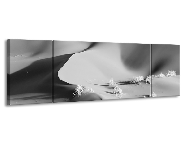 Glasschilderij Zand | Zwart, Grijs | 170x50cm 3Luik