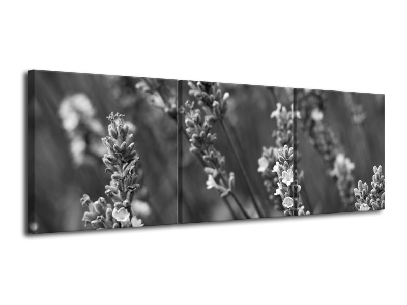 Canvas Schilderij Bloemen, Lente | Zwart, Grijs, Wit | 120x40cm 3Luik