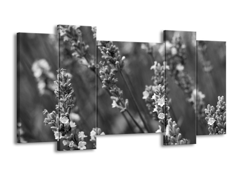 Canvas Schilderij Bloemen, Lente | Zwart, Grijs, Wit | 120x65cm 5Luik