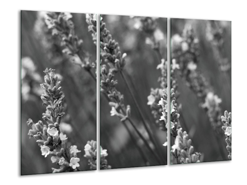 Glasschilderij Bloemen, Lente | Zwart, Grijs, Wit | 120x80cm 3Luik