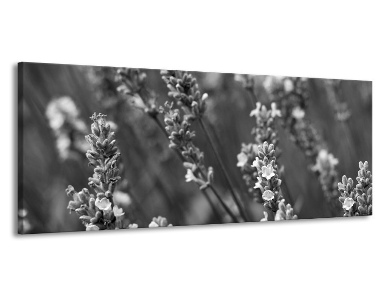 Canvas Schilderij Bloemen, Lente | Zwart, Grijs, Wit | 145x58cm 1Luik