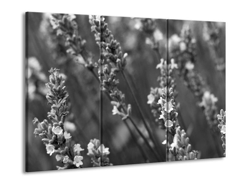 Canvas Schilderij Bloemen, Lente | Zwart, Grijs, Wit | 60x90cm 3Luik