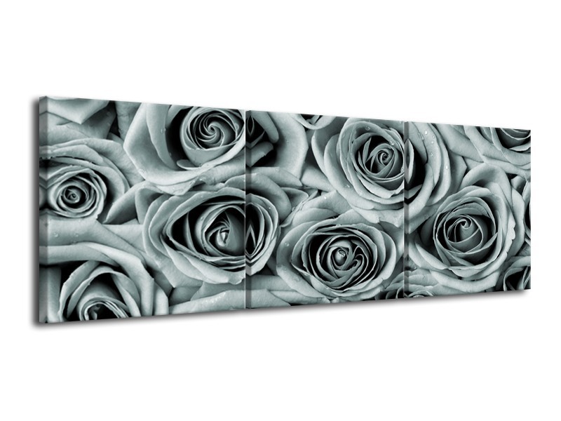 Canvas Schilderij Bloemen, Roos | Grijs, Groen | 120x40cm 3Luik