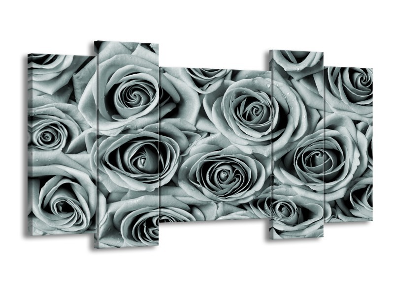 Canvas Schilderij Bloemen, Roos | Grijs, Groen | 120x65cm 5Luik