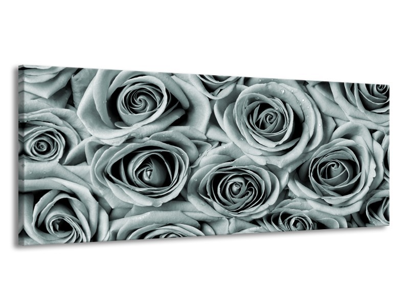 Canvas Schilderij Bloemen, Roos | Grijs, Groen | 145x58cm 1Luik