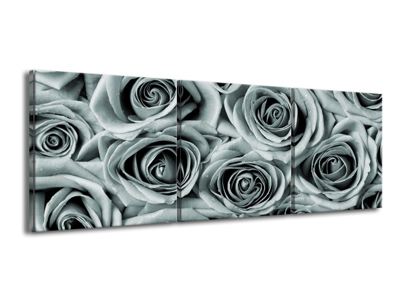 Canvas Schilderij Bloemen, Roos | Grijs, Groen | 150x50cm 3Luik