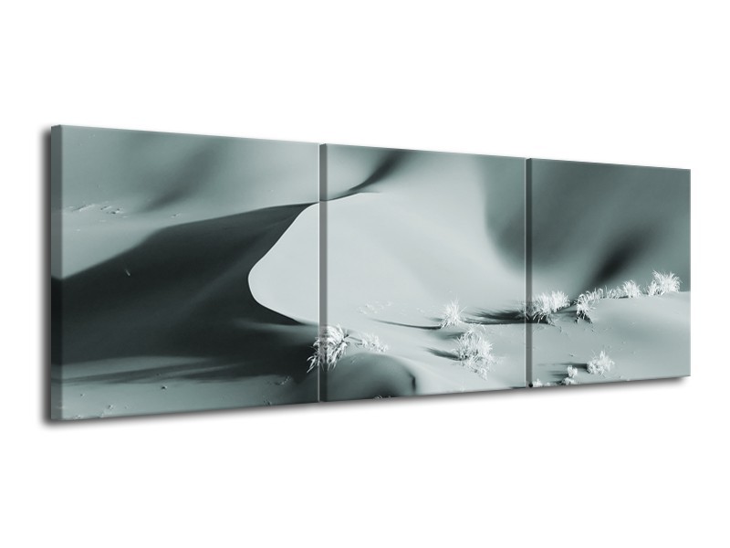 Glasschilderij Zand | Grijs, Groen | 120x40cm 3Luik