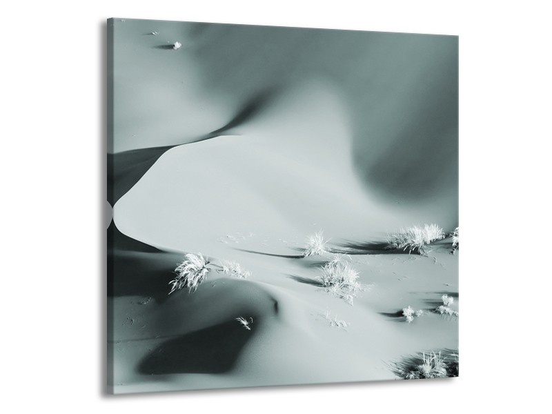 Glasschilderij Zand | Grijs, Groen | 50x50cm 1Luik