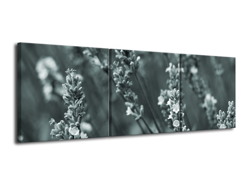 Canvas Schilderij Bloemen, Lente | Grijs, Groen | 120x40cm 3Luik