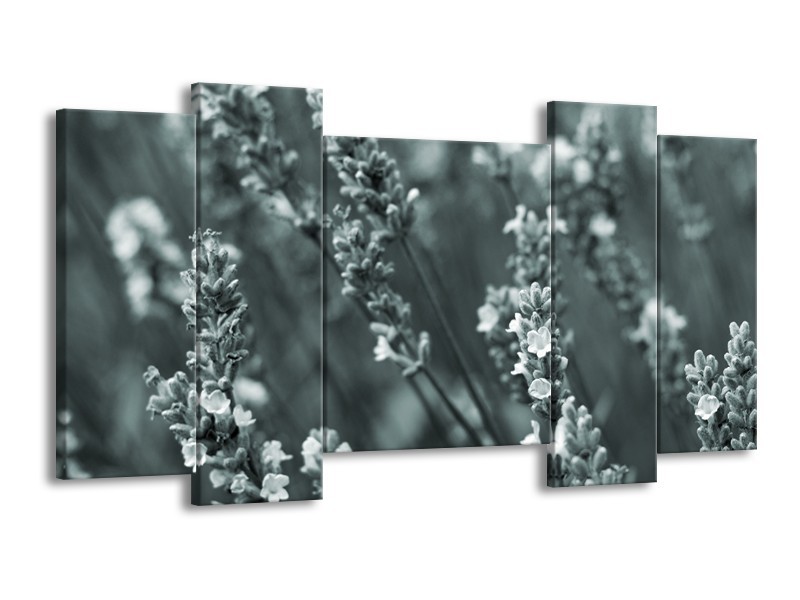 Glasschilderij Bloemen, Lente | Grijs, Groen | 120x65cm 5Luik