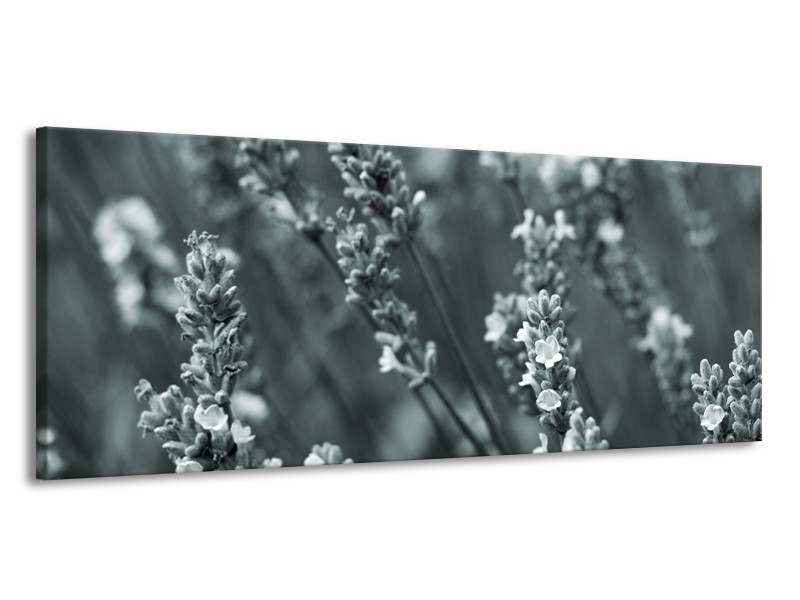 Glasschilderij Bloemen, Lente | Grijs, Groen | 145x58cm 1Luik