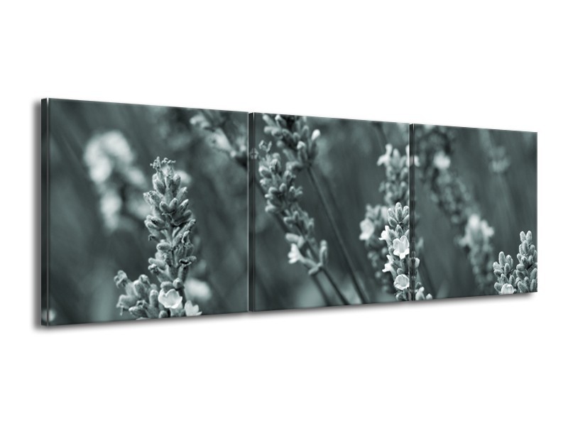 Canvas Schilderij Bloemen, Lente | Grijs, Groen | 150x50cm 3Luik