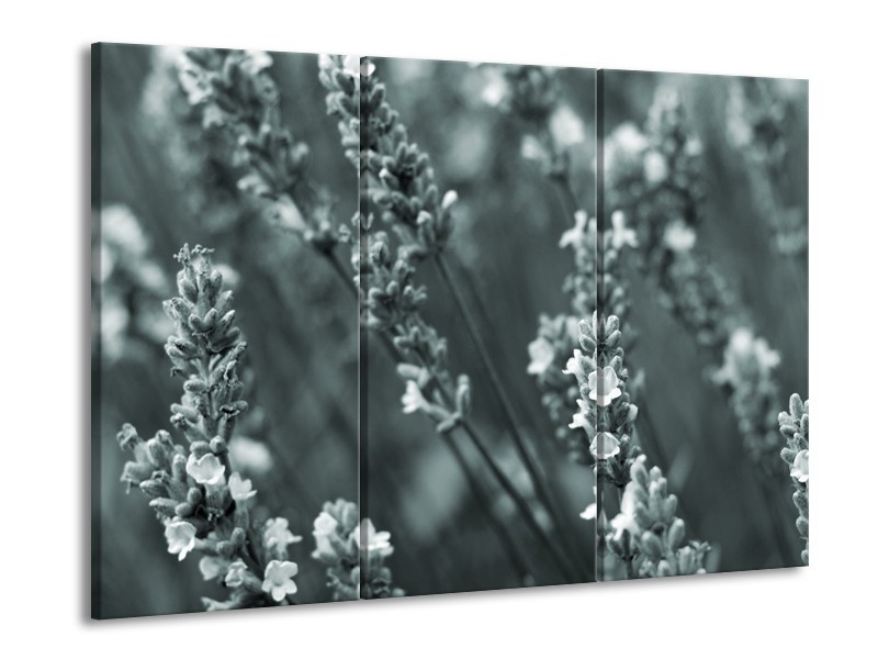 Glasschilderij Bloemen, Lente | Grijs, Groen | 60x90cm 3Luik