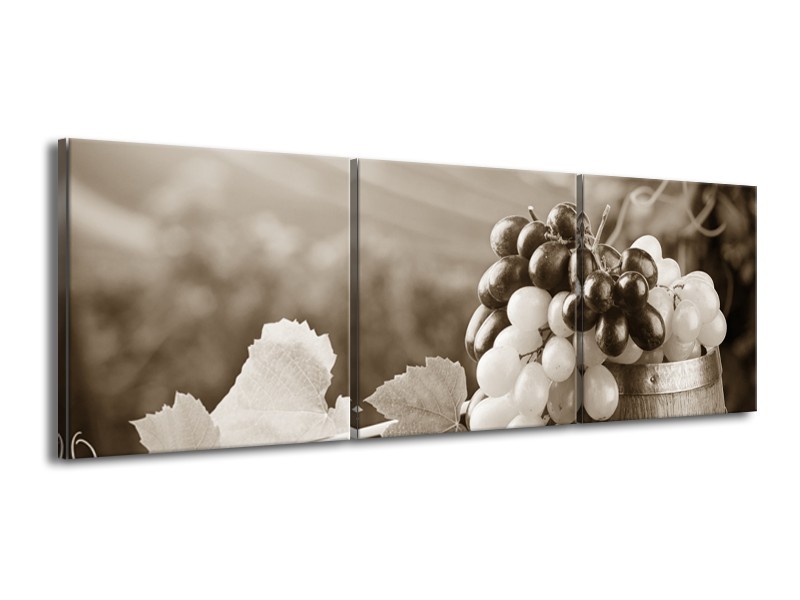 Glasschilderij Druiven, Keuken | Sepia | 150x50cm 3Luik